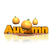 Pumpkin Patch Autumn PowerPoint Animation layout preview.