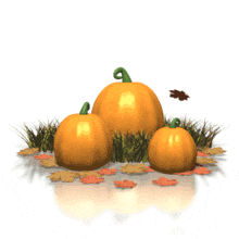 Pumpkins With Leaves PowerPoint Animation layout preview.