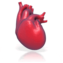 Heart Beating PowerPoint Animation layout preview.