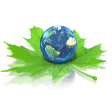 Earth Spinning on Green Leaf PowerPoint Animation layout preview.