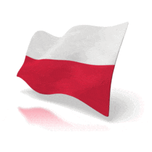 Animated Polish Flag PowerPoint Animation layout preview.