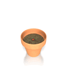 of Flower Growing PowerPoint Animation layout preview.