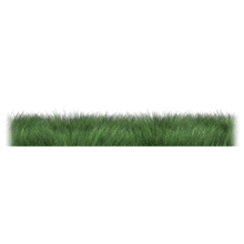 Long Flowing Grass PowerPoint Animation layout preview.