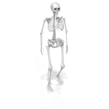 Skeleton Walking in Perspective Angle PowerPoint Animation layout preview.