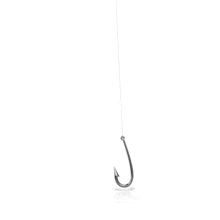 best shimano spinning reel for tarpon fishing Ultimate Guide to Choosing the Best Tarpon Fishing Reel  Tailwater  Outfitters