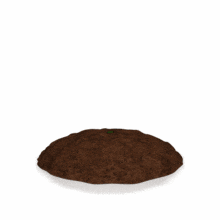 Plant Grows and Dies PowerPoint Animation layout preview.