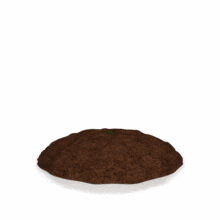 Plant Growing PowerPoint Animation layout preview.