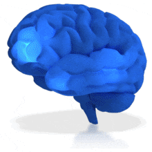 Brain Neurons Firing PowerPoint Animation layout preview.