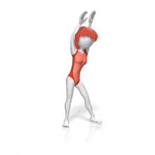 Cartwheel PowerPoint Animation layout preview.