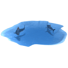 Sharks In Water PowerPoint Animation layout preview.