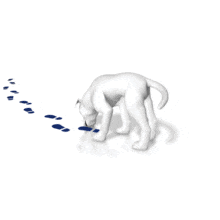 Dog Sniffing Footprint Trail PowerPoint Animation layout preview.