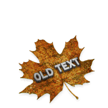 Turn Over Leaf PowerPoint Animation layout preview.