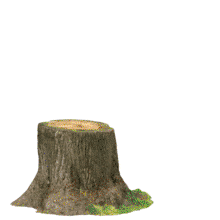 Turkey Sign Stump Custom PowerPoint Animation layout preview.