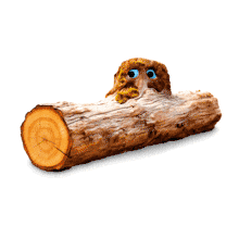 Bump on A Log Idiom PowerPoint Animation layout preview.