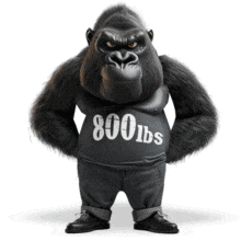 800 lb. Gorilla PowerPoint Animation layout preview.
