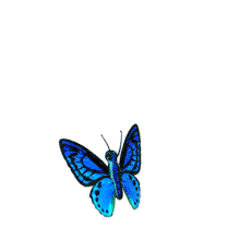 Butterfly Flying Up And Down PowerPoint Animation layout preview.
