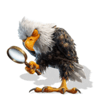 Eagle Eye Idiom PowerPoint Animation layout preview.