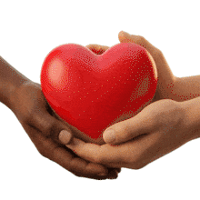 Hands Holding Heart PowerPoint Animation layout preview.