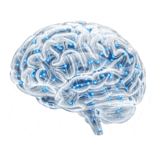 Animated Glass Brain Digital Connections PowerPoint Animation layout preview.