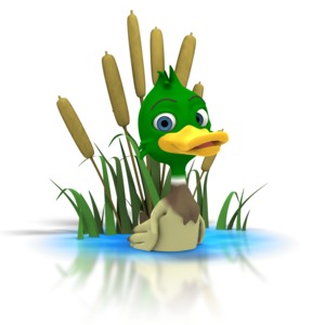 Mallard Duck Sitting In Pond PowerPoint clipart graphic preview.