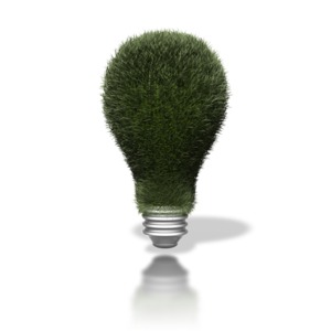 Go Green Lightbulb PowerPoint clipart graphic preview.