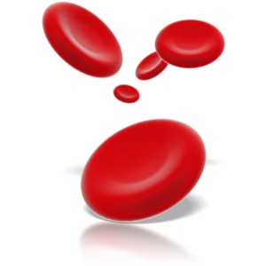 Red Blood Cells PowerPoint clipart graphic preview.
