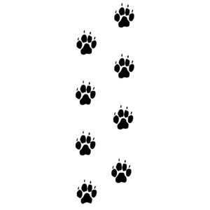 Dog Footprints Trail PowerPoint clipart graphic preview.