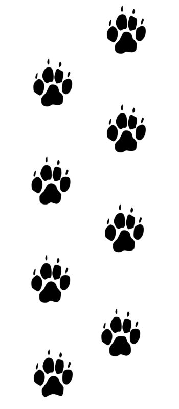 High-resolution clipart illustration of Dog Footprints Trail, designed for environmental education decks, outdoor recreation marketing, and conservation awareness campaigns.
