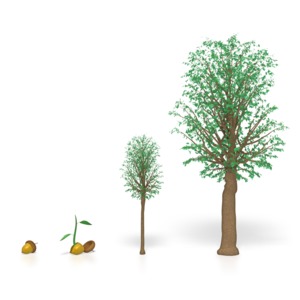 Tree Growing PowerPoint clipart graphic preview.