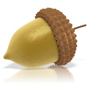 Tree Acorn PowerPoint clipart graphic preview.