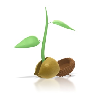 Acorn Sprout PowerPoint clipart graphic preview.