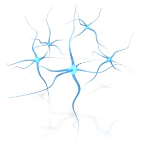 Brain Neurons PowerPoint clipart graphic preview.