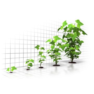Organic Growth Graph PowerPoint clipart graphic preview.