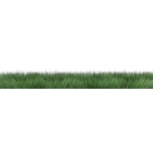 Long Grass PowerPoint clipart graphic preview.