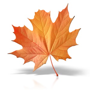 Autumn Leaf PowerPoint clipart graphic preview.