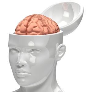 Brain Inside Head PowerPoint clipart graphic preview.