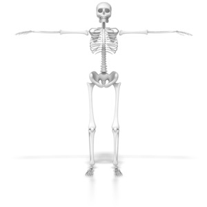 Skeleton In Default Pose PowerPoint clipart graphic preview.