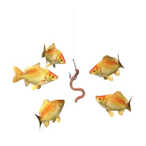 Risky Business Fish Bait PowerPoint clipart graphic preview.