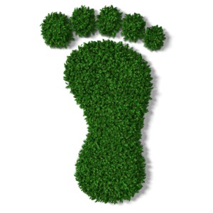 Green Grass Footprint PowerPoint clipart graphic preview.