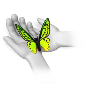 Butterfly Sitting In Hands PowerPoint clipart graphic preview.