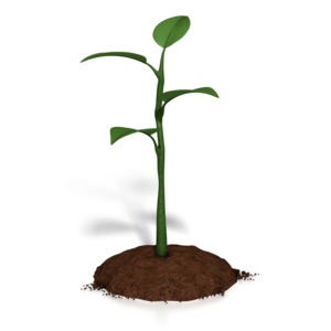 Small Plant Growth PowerPoint clipart graphic preview.