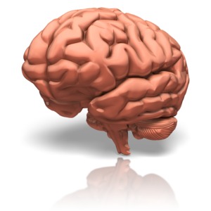 Human Brain PowerPoint clipart graphic preview.