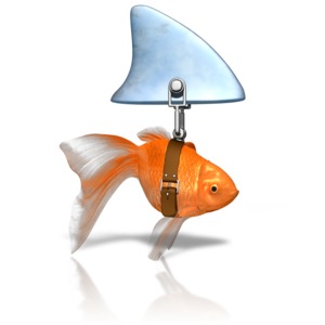 Clever Goldfish Shark PowerPoint clipart graphic preview.