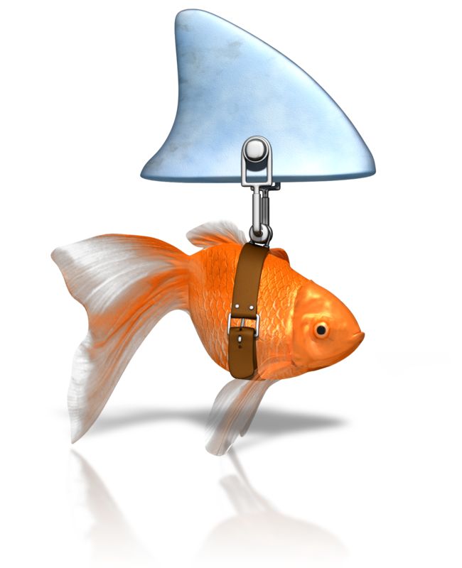 High-resolution clipart illustration of Clever Goldfish Shark, designed for seasonal marketing campaigns, corporate event presentations, and holiday promotions.