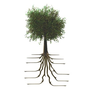 Tree With Roots PowerPoint clipart graphic preview.