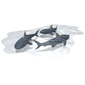 Pool Of Sharks PowerPoint clipart graphic preview.