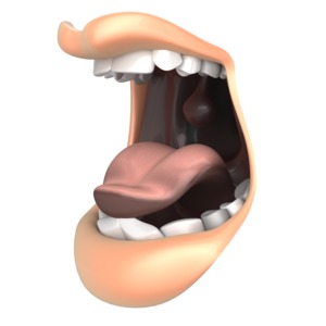 A Mouth Yelling PowerPoint clipart graphic preview.