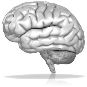 Black And White Brain PowerPoint clipart graphic preview.