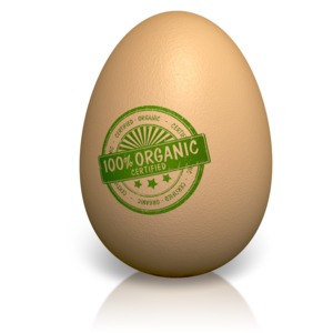 Certified Organic Egg PowerPoint clipart graphic preview.