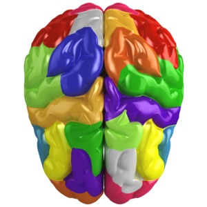 Creative Brain Colored PowerPoint clipart graphic preview.